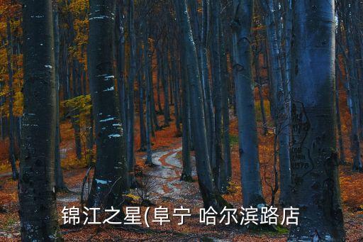 錦江之星(阜寧 哈爾濱路店
