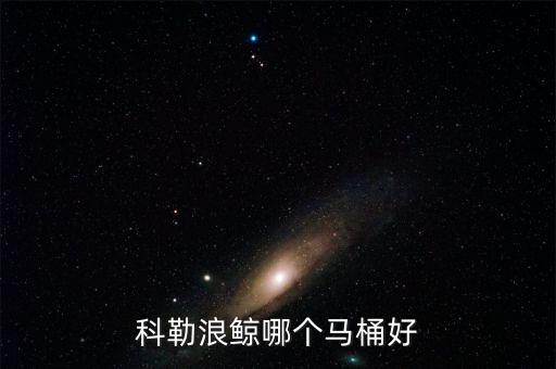 德眾衛(wèi)浴產(chǎn)品是十大品牌嗎