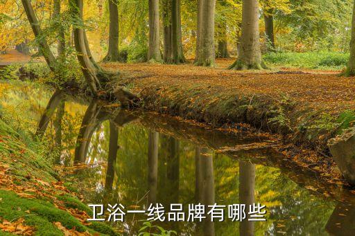 衛(wèi)浴一線品牌有哪些