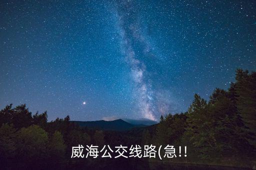  威海公交線路(急!!