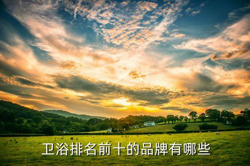 新疆衛(wèi)浴什么品牌好,riifo什么衛(wèi)浴品牌