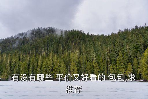 有沒有哪些 平價又好看的 包包,求推薦