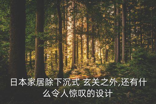 衛(wèi)浴店玄關(guān)背景圖片,大理石玄關(guān)背景圖片大全