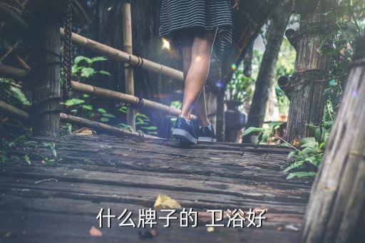 什么牌子的 衛(wèi)浴好
