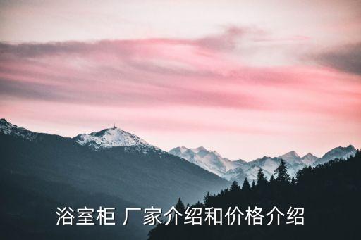 浴室柜 廠家介紹和價格介紹