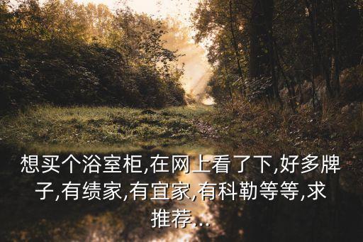 想買個(gè)浴室柜,在網(wǎng)上看了下,好多牌子,有績(jī)家,有宜家,有科勒等等,求推薦...