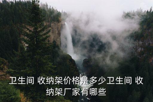 衛(wèi)生間 收納架價(jià)格是多少衛(wèi)生間 收納架廠家有哪些