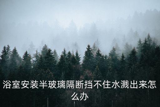 衛(wèi)浴門擋水條圖片大全