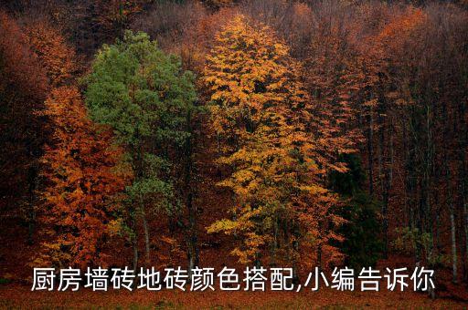 廚房墻磚地磚顏色搭配,小編告訴你