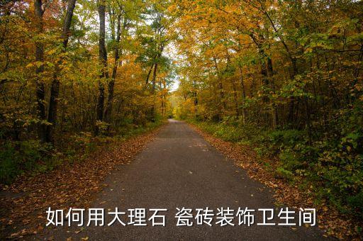 如何用大理石 瓷磚裝飾衛(wèi)生間