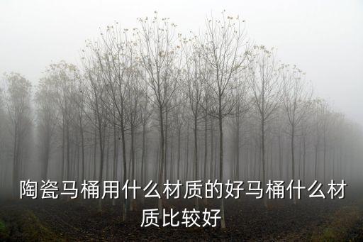  陶瓷馬桶用什么材質(zhì)的好馬桶什么材質(zhì)比較好