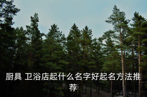 廚具 衛(wèi)浴店起什么名字好起名方法推薦