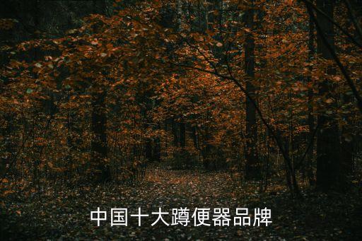 最新式的蹲便衛(wèi)浴裝圖片