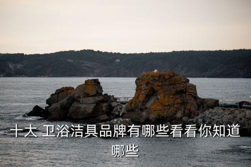 十大 衛(wèi)浴潔具品牌有哪些看看你知道哪些