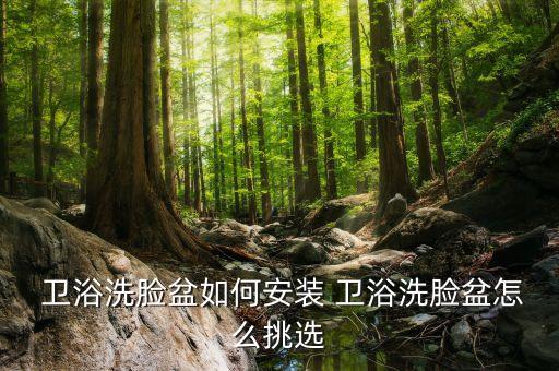 衛(wèi)浴日常安裝圖片大全集,衛(wèi)浴玻璃門(mén)圖片大全集