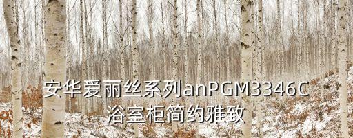 安華愛麗絲系列anPGM3346C浴室柜簡約雅致