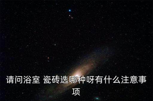 大瓷磚衛(wèi)浴裝修設(shè)計(jì)圖片