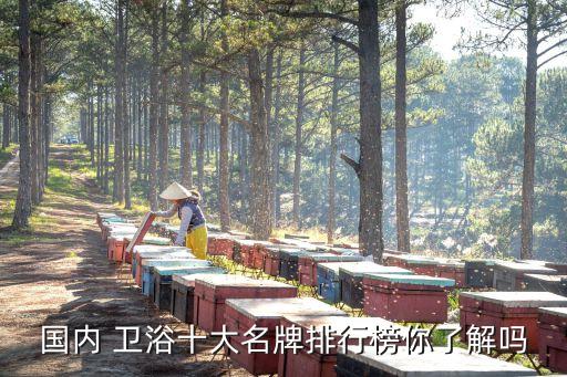 國內(nèi) 衛(wèi)浴十大名牌排行榜你了解嗎