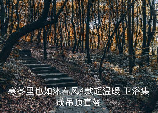衛(wèi)浴五合一推薦品牌