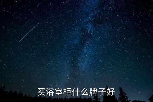 衛(wèi)浴板材品牌,衛(wèi)浴品牌排行榜前十名