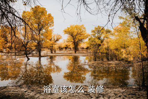 浴室該怎么 裝修