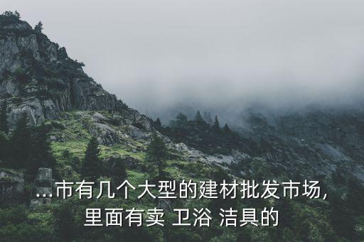 ...市有幾個大型的建材批發(fā)市場,里面有賣 衛(wèi)浴 潔具的