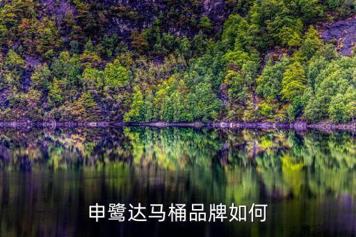 sunlot是什么品牌衛(wèi)浴,kdkd衛(wèi)浴是什么品牌