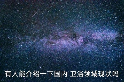有人能介紹一下國(guó)內(nèi) 衛(wèi)浴領(lǐng)域現(xiàn)狀嗎