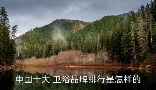 中國(guó)十大 衛(wèi)浴品牌排行是怎樣的