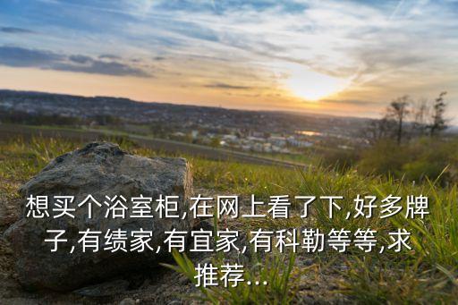 想買個(gè)浴室柜,在網(wǎng)上看了下,好多牌子,有績(jī)家,有宜家,有科勒等等,求 推薦...