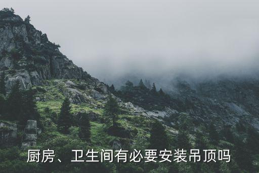 廚房、衛(wèi)生間有必要安裝吊頂嗎