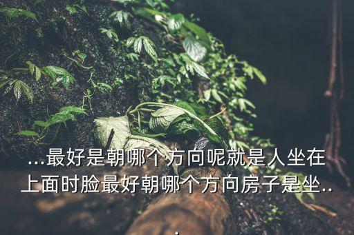 ...最好是朝哪個(gè)方向呢就是人坐在上面時(shí)臉最好朝哪個(gè)方向房子是坐...