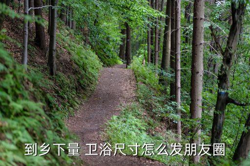 衛(wèi)浴視頻推薦文案范文圖片