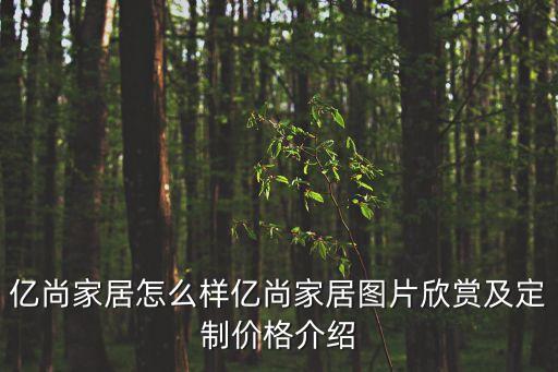 億尚家居怎么樣億尚家居圖片欣賞及定制價(jià)格介紹
