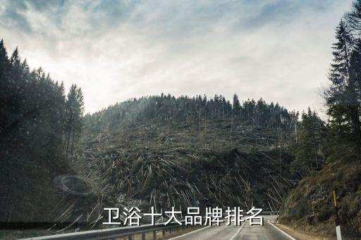  衛(wèi)浴十大品牌排名