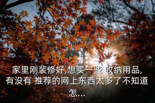 家里剛裝修好,想買一些 收納用品,有沒有 推薦的網(wǎng)上東西太多了不知道怎...
