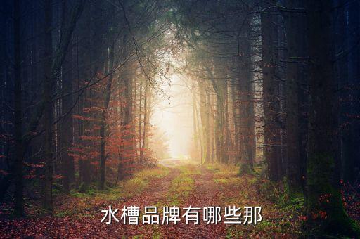  水槽品牌有哪些那
