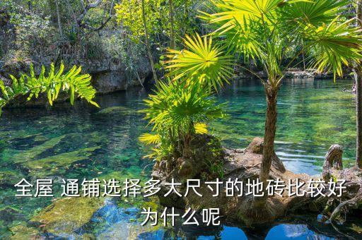 全屋 通鋪選擇多大尺寸的地磚比較好為什么呢