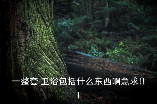 整體衛(wèi)浴有什么功能呢圖片