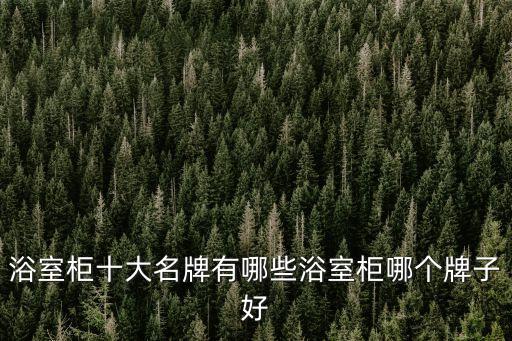 浴室柜十大名牌有哪些浴室柜哪個(gè)牌子好