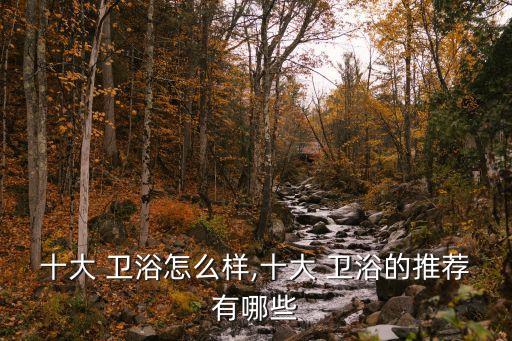 衛(wèi)浴有必要用大品牌嗎,衛(wèi)浴柜有必要買品牌的嗎