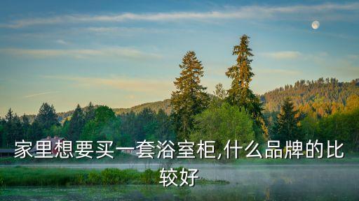 家里想要買一套浴室柜,什么品牌的比較好