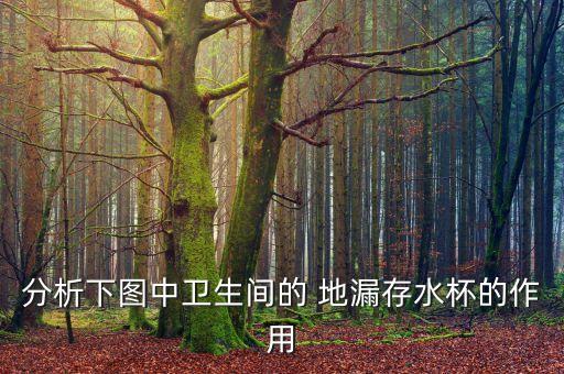 衛(wèi)浴間長條地漏圖片大全,長條不銹鋼地漏大全圖片