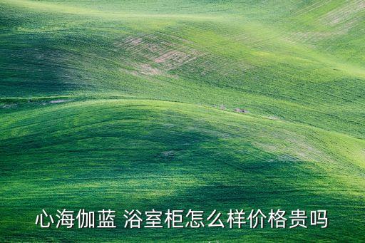 心海伽藍(lán) 浴室柜怎么樣價(jià)格貴嗎