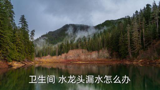 衛(wèi)浴水龍頭怎么維修的圖片,九牧衛(wèi)浴水龍頭圖片