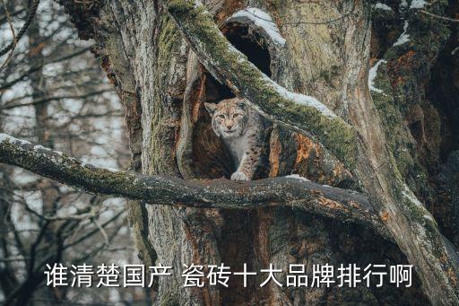 誰清楚國產(chǎn) 瓷磚十大品牌排行啊