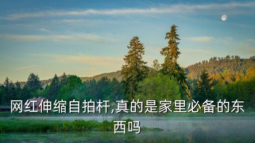 網(wǎng)紅伸縮自拍桿,真的是家里必備的東西嗎
