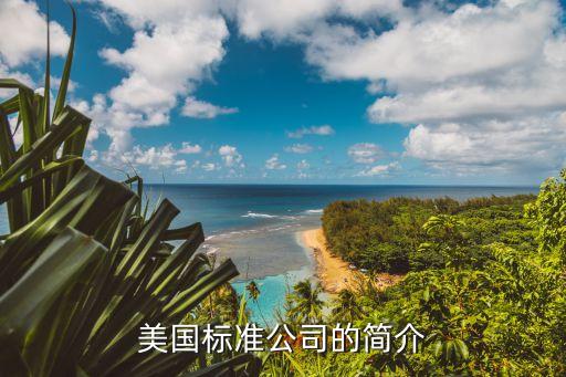 美國標(biāo)準(zhǔn)公司的簡介