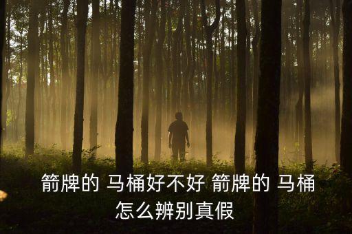  箭牌的 馬桶好不好 箭牌的 馬桶怎么辨別真假