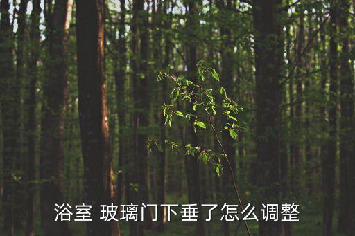浴室 玻璃門(mén)下垂了怎么調(diào)整
